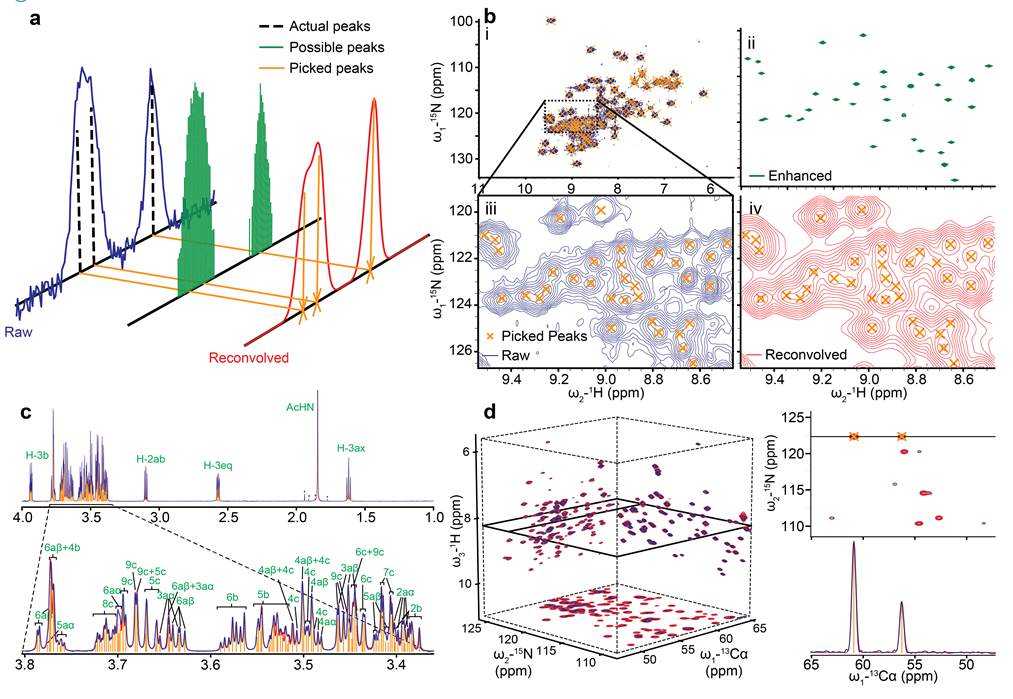 unidecNMR